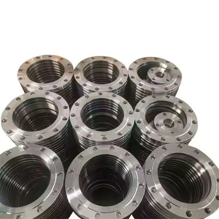 Ss Pipe Flanges high quality