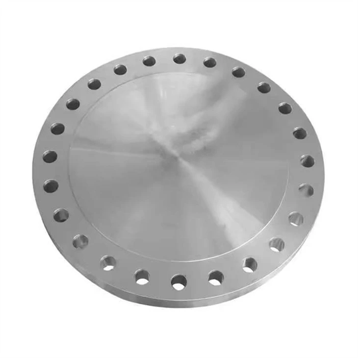 Ss Pipe Flanges price